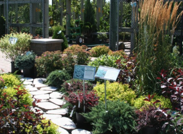 The Elk River Nursery